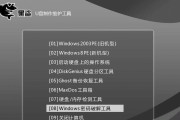 大白菜U盘装系统4.5教程（利用大白菜U盘快速轻松装系统）