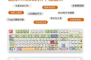 轻松学会设置笔记本电脑双系统（详细教程与技巧帮助您实现无缝切换）
