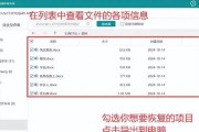 文件管理中的文件删除恢复方法（以文件管理删除的文件恢复技巧与步骤）