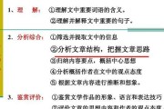 文章分析的方法与技巧（深入理解文章结构，提升分析能力）