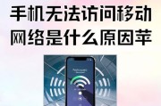 苹果电脑网络密码错误的危害与解决方法（探究苹果电脑密码错误引发的问题及解决方案）