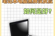 笔记本电脑开机后黑屏的原因及解决方法（探究笔记本电脑开机后出现黑屏的问题，解决方案揭秘）