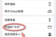 如何使用iPhone进行本地文件管理（掌握iPhone上的本地文件管理技巧，轻松管理你的文件！）