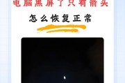 电脑黑屏故障的解决办法（遇到电脑黑屏时应该如何应对）