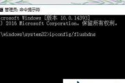 电脑脚本错误的原因及解决方法（探究电脑脚本错误产生的根源和有效应对策略）
