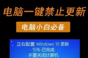 小白也能轻松找回C盘文件的一键还原方法（简单操作，快速找回丢失的重要文件）