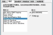 电脑游戏显示ID错误的解决方法（解决常见电脑游戏显示ID错误的有效措施）